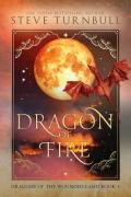Dragon of Fire cover.