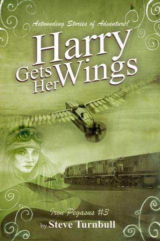 Harry Gets Her Wings cover